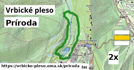 príroda v Vrbické pleso