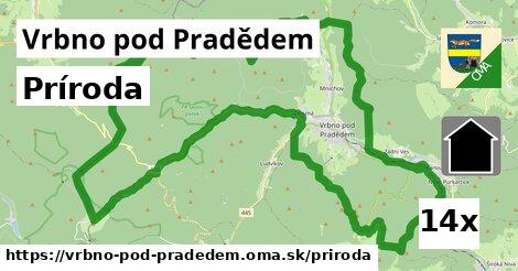 príroda v Vrbno pod Pradědem