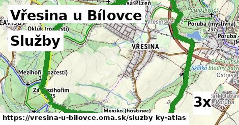 služby v Vřesina u Bílovce