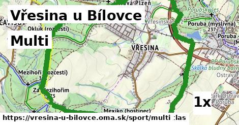 Multi, Vřesina u Bílovce