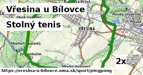 stolný tenis v Vřesina u Bílovce