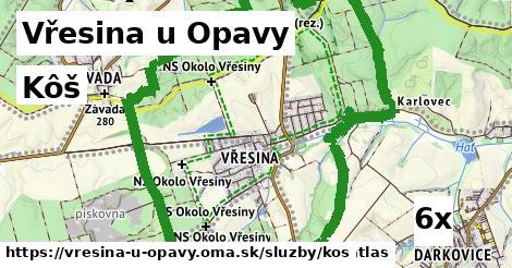 Kôš, Vřesina u Opavy