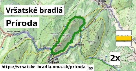 príroda v Vršatské bradlá