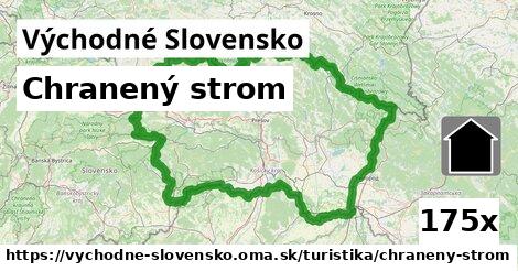 Chranený strom, Východné Slovensko