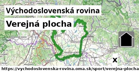 Verejná plocha, Východoslovenská rovina