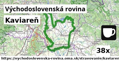 Kaviareň, Východoslovenská rovina