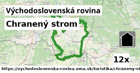 Chranený strom, Východoslovenská rovina