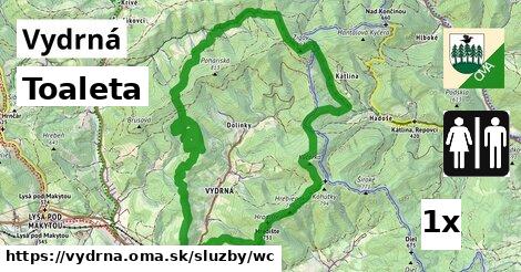 Toaleta, Vydrná