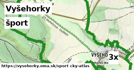 šport v Vyšehorky