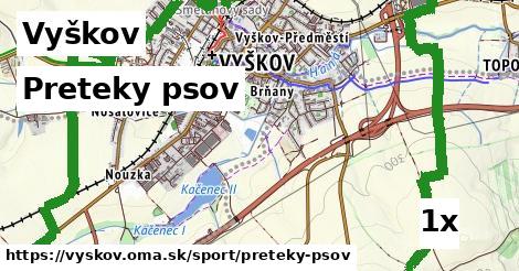 preteky psov v Vyškov
