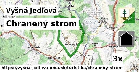 chranený strom v Vyšná Jedľová