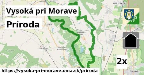 príroda v Vysoká pri Morave