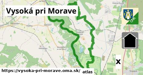 Polícia, Vysoká pri Morave