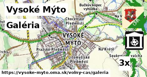 Galéria, Vysoké Mýto