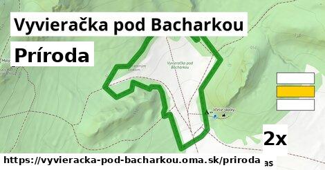 príroda v Vyvieračka pod Bacharkou