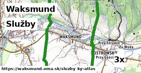 služby v Waksmund