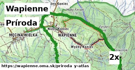 príroda v Wapienne