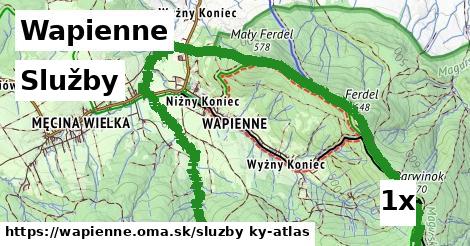 služby v Wapienne