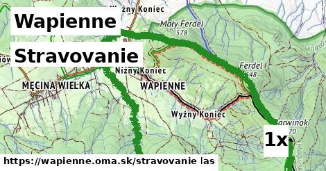 stravovanie v Wapienne