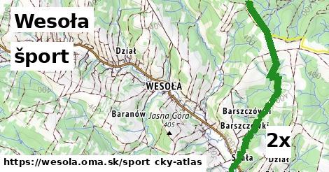 šport v Wesoła