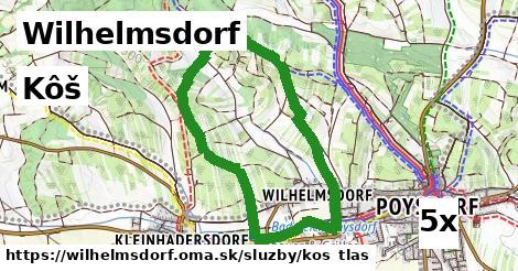 Kôš, Wilhelmsdorf