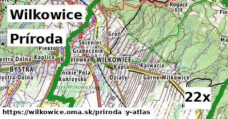 príroda v Wilkowice