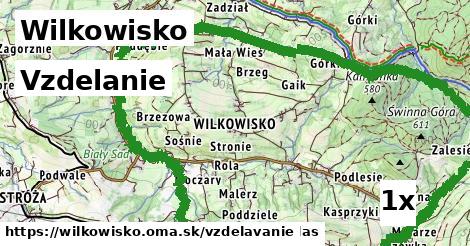 vzdelanie v Wilkowisko