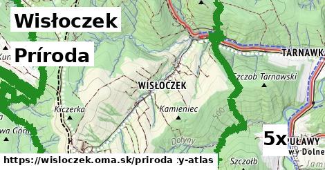 príroda v Wisłoczek