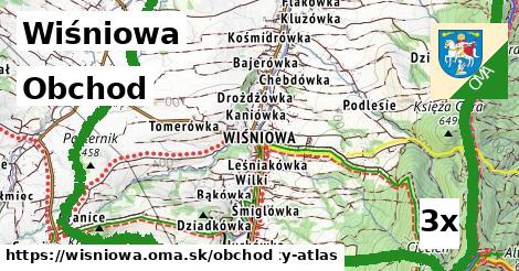 obchod v Wiśniowa