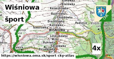 šport v Wiśniowa