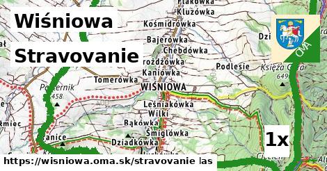 stravovanie v Wiśniowa