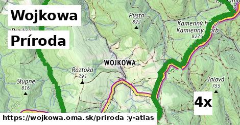 príroda v Wojkowa