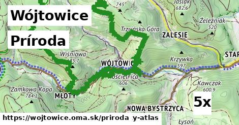 príroda v Wójtowice