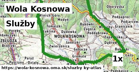 služby v Wola Kosnowa