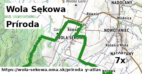 príroda v Wola Sękowa