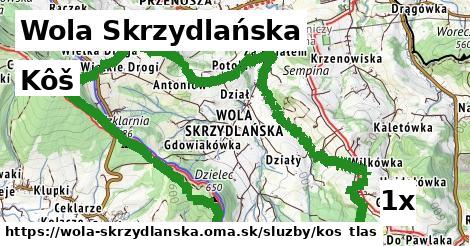 Kôš, Wola Skrzydlańska