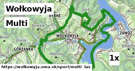 Multi, Wołkowyja