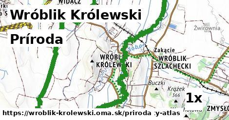 príroda v Wróblik Królewski