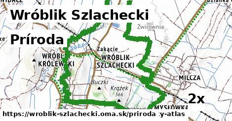 príroda v Wróblik Szlachecki