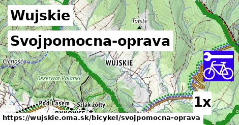 svojpomocna-oprava v Wujskie