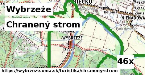 Chranený strom, Wybrzeże