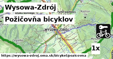 požičovňa bicyklov v Wysowa-Zdrój