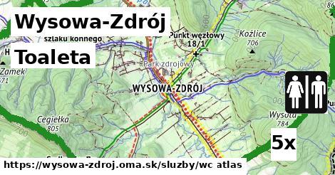 Toaleta, Wysowa-Zdrój