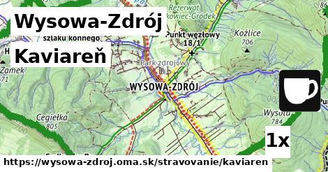 Kaviareň, Wysowa-Zdrój