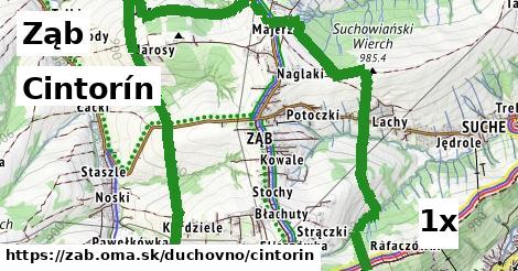 Cintorín, Ząb
