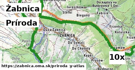 príroda v Żabnica