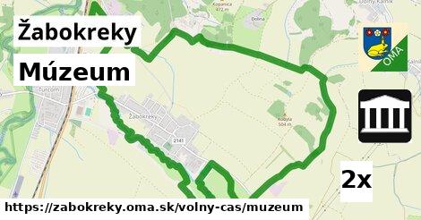 Múzeum, Žabokreky