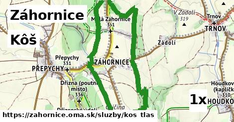 Kôš, Záhornice