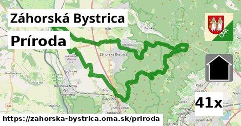 príroda v Záhorská Bystrica