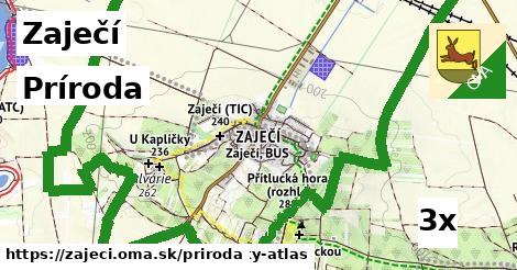 príroda v Zaječí